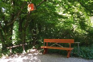 KLOP NA PRANGARJU  03 FOTO BOŠTJAN OTONIČAR